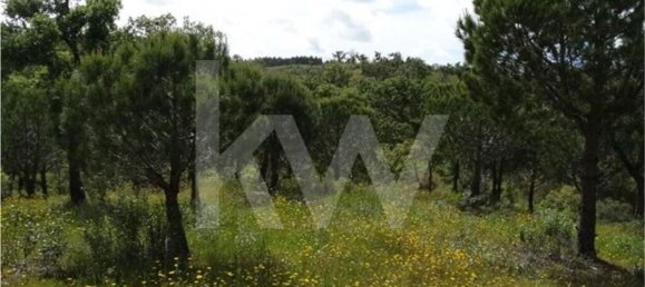 Земельный участок 54250м² в Сантиагу ду Касен, Португалия № 59890 19