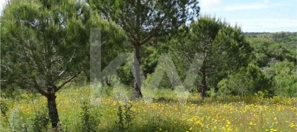 Земельный участок 54250м² в Сантиагу ду Касен, Португалия № 59890 13