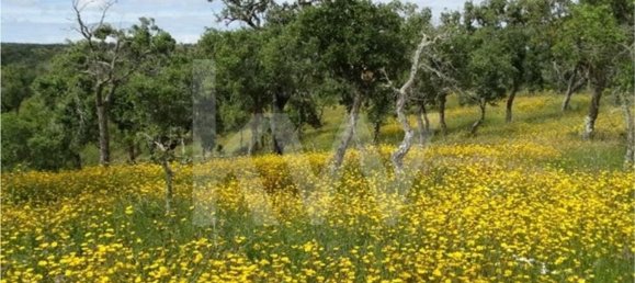 Земельный участок 54250м² в Сантиагу ду Касен, Португалия № 59890 2