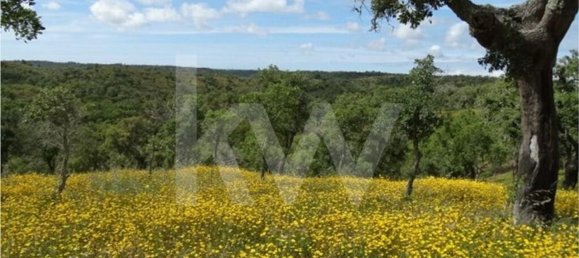 Земельный участок 54250м² в Сантиагу ду Касен, Португалия № 59890 8