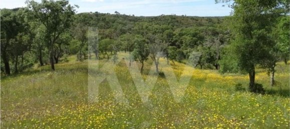 Земельный участок 54250м² в Сантиагу ду Касен, Португалия № 59890 12