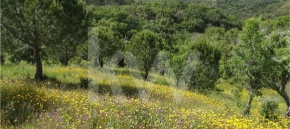 Земельный участок 54250м² в Сантиагу ду Касен, Португалия № 59890 6