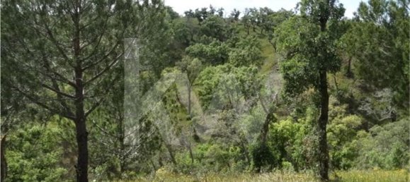 Земельный участок 54250м² в Сантиагу ду Касен, Португалия № 59890 7