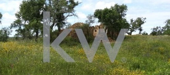 Земельный участок 54250м² в Сантиагу ду Касен, Португалия № 59890 3