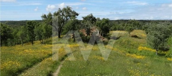 Земельный участок 54250м² в Сантиагу ду Касен, Португалия № 59890 20