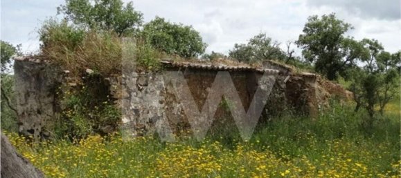 Земельный участок 54250м² в Сантиагу ду Касен, Португалия № 59890 16