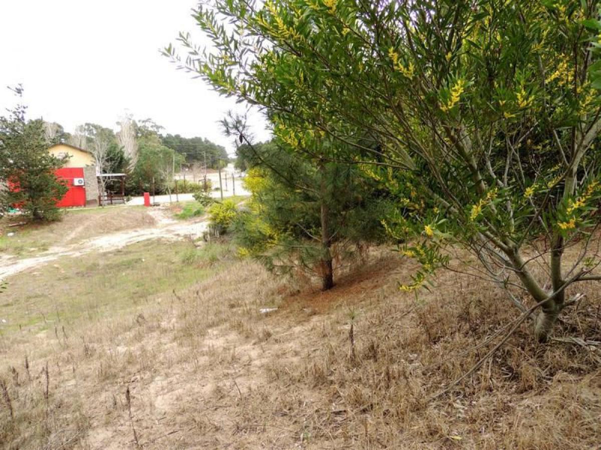  Land in Mar del Plata, Argentina No. 121787