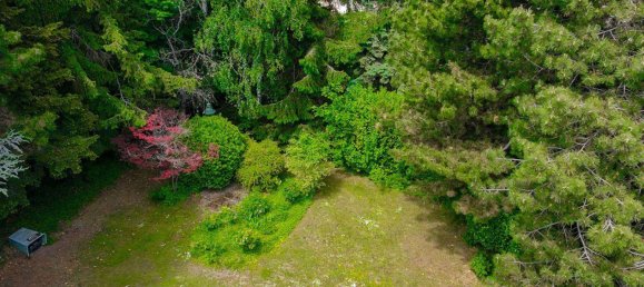 3 rooms Bungalow in Perchtoldsdorf, Austria No. 151863 13