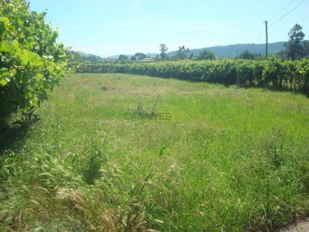 2200m² Land in Viana do Castelo, Portugal No. 91314