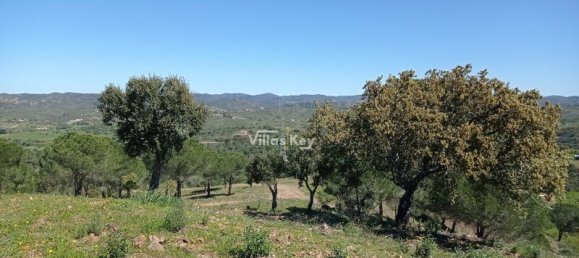 Terreno T2 em São Bartolomeu de Messines, Portugal N.º 10248 11