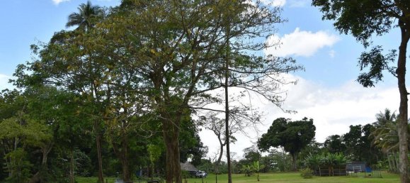  عقار تجاري في Port-Vila, Vanuatu رقم 136 13