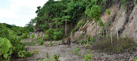  عقار تجاري في Port-Vila, Vanuatu رقم 136 15