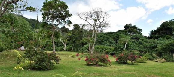  عقار تجاري في Port-Vila, Vanuatu رقم 136 2