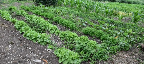  عقار تجاري في Port-Vila, Vanuatu رقم 136 14