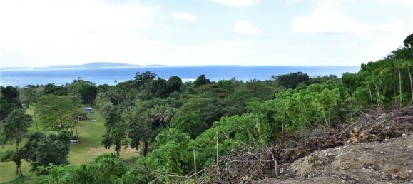  عقار تجاري في Port-Vila, Vanuatu رقم 136 3