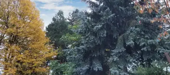 4 غرف نوم منزل في Leipzig, Germany رقم 140488 11