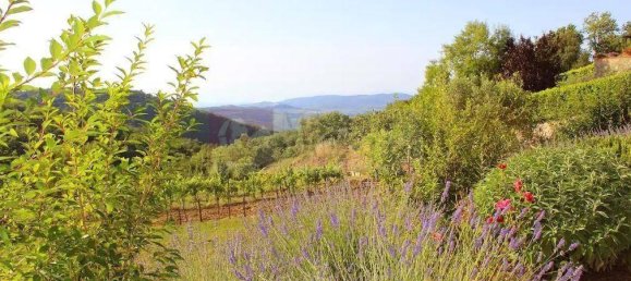 6 rooms House in Castellina in Chianti, Italy No. 73073 9