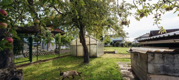 Дом с 5 комнатами в Штрасганг, Австрия № 245533 8