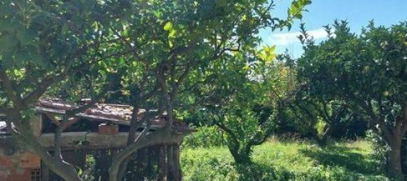 4-salle Appartement à Belvedere Marittimo, Italy No. 176070 6