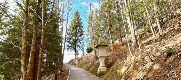 14 rooms Hotel in Mariazell, Austria No. 243475 2