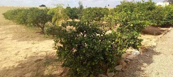 3 bedrooms House in San Javier, Spain No. 124945 16