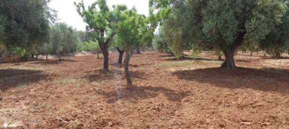 Terreno em San Vito dei Normanni, Italy 25900 m² N.º 144941 13