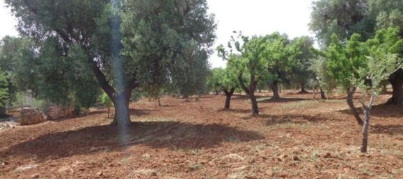 Terreno em San Vito dei Normanni, Italy 25900 m² N.º 144941 12