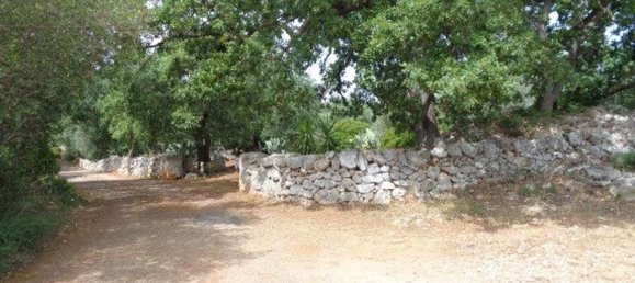 Terreno em San Vito dei Normanni, Italy 25900 m² N.º 144941 10