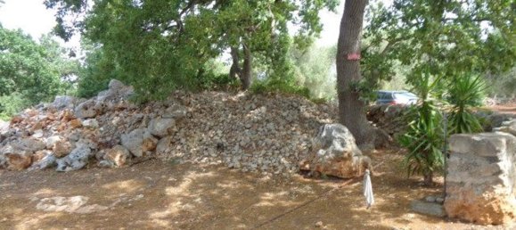 Terreno em San Vito dei Normanni, Italy 25900 m² N.º 144941 4