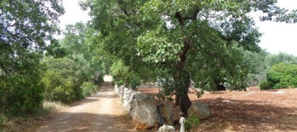 Terreno em San Vito dei Normanni, Italy 25900 m² N.º 144941 3