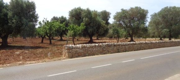 Terreno em San Vito dei Normanni, Italy 25900 m² N.º 144941 11