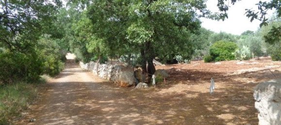 Terreno em San Vito dei Normanni, Italy 25900 m² N.º 144941 9