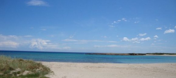 Terreno em San Vito dei Normanni, Italy 25900 m² N.º 144941 17