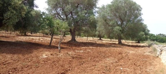 Terreno em San Vito dei Normanni, Italy 25900 m² N.º 144941 14