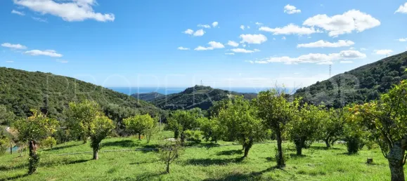 Вилла с 2 спальнями в Эстепона, Испания № 183159 18