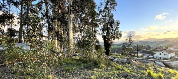 Grundstück in Lousada, Portugal 1737m², Nr. 51070 12