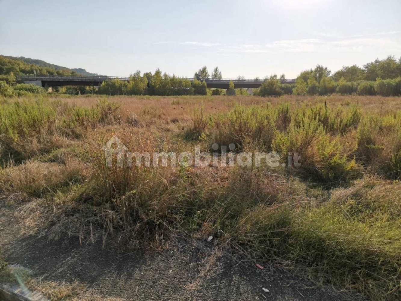 35000m² Land in San Gimignano, Italy No. 211526