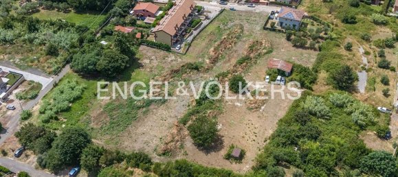 6840m² Land in Rocca di Papa, Italy No. 284727 7