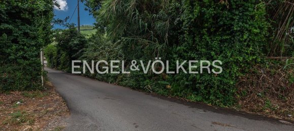 6840m² Land in Rocca di Papa, Italy No. 284727 12