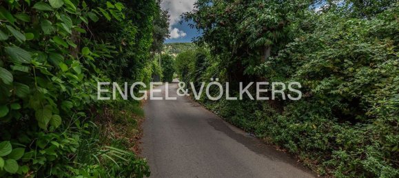 6840m² Land in Rocca di Papa, Italy No. 284727 14