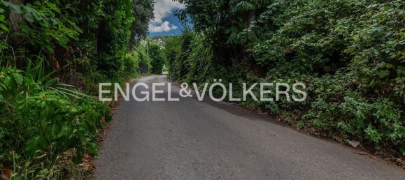 6840m² Land in Rocca di Papa, Italy No. 284727 13