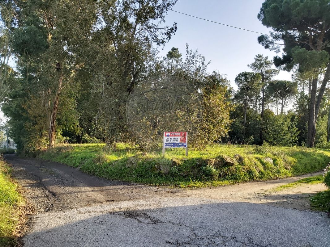 6000m² Commercial property in Santa Comba Dao, Portugal No. 88091