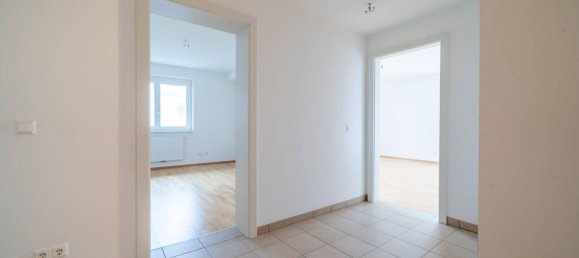 3 rooms Apartment in Kirnberg an der Mank, Austria No. 171692 16