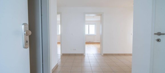 3 rooms Apartment in Kirnberg an der Mank, Austria No. 171692 13