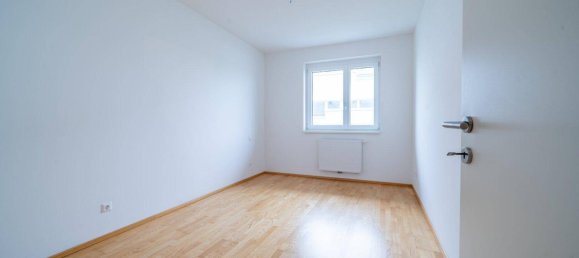 3 rooms Apartment in Kirnberg an der Mank, Austria No. 171692 7