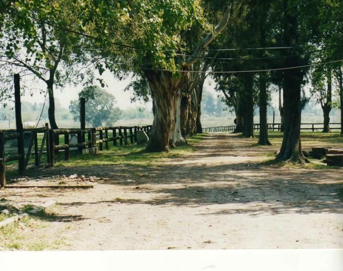  Land in Pilar, Argentina No. 46322