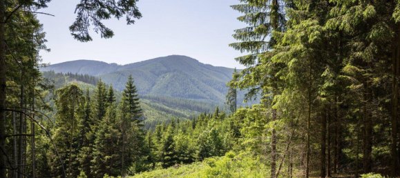  Land in Reichenau an der Rax, Austria No. 159660 11