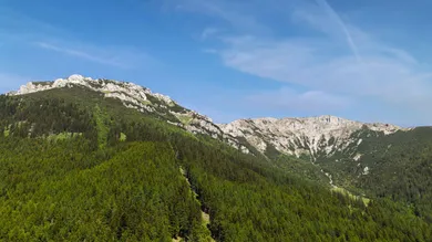  Land in Reichenau an der Rax, Austria No. 159660