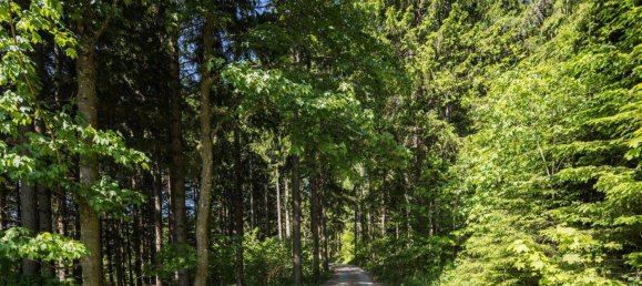  Land in Reichenau an der Rax, Austria No. 159660 3