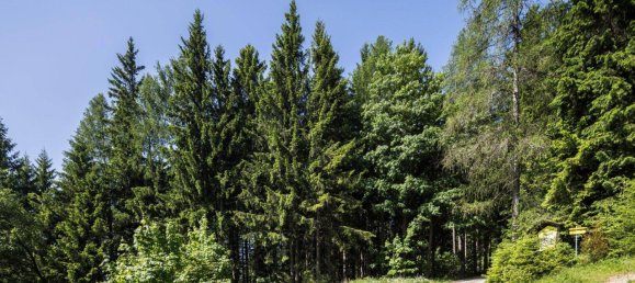  Land in Reichenau an der Rax, Austria No. 159660 2